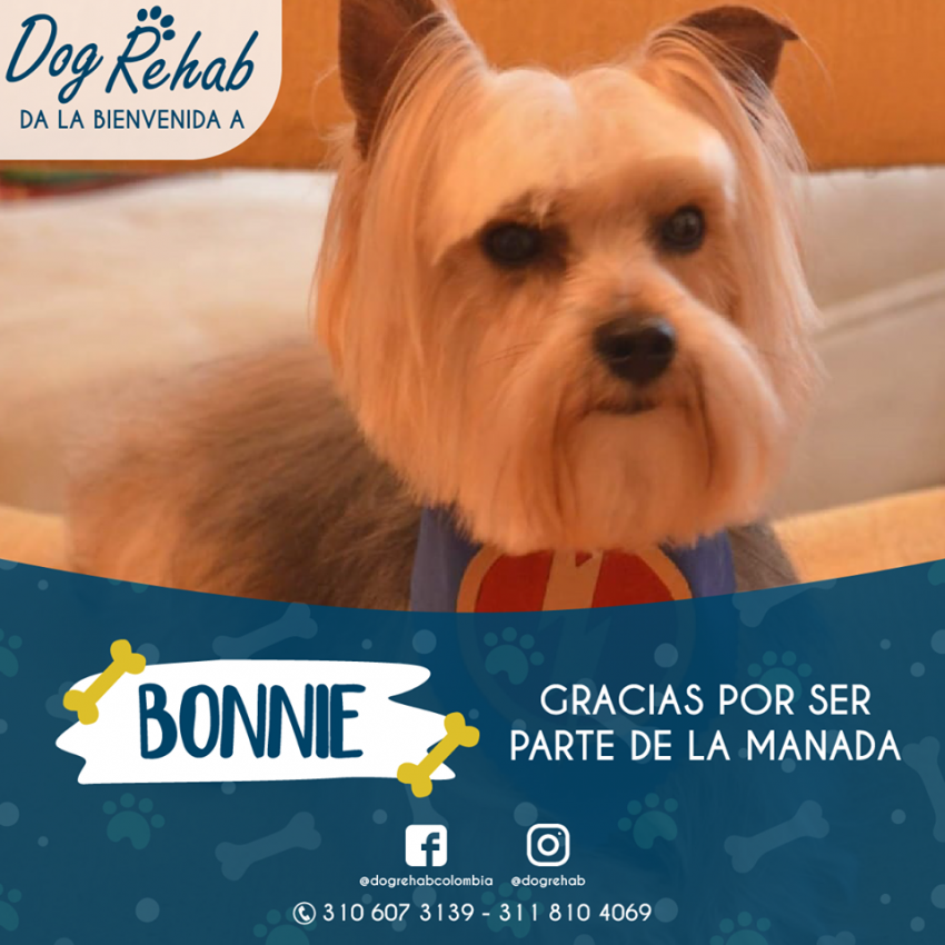 Bienvenida Bonnie
