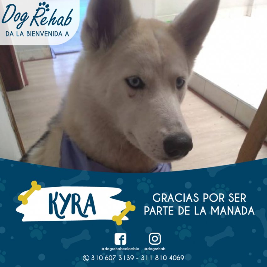 Bienvenida Kira