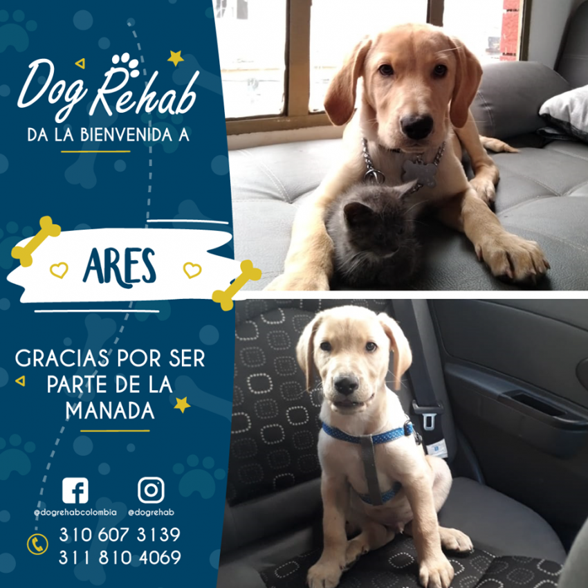 Bienvenido Ares