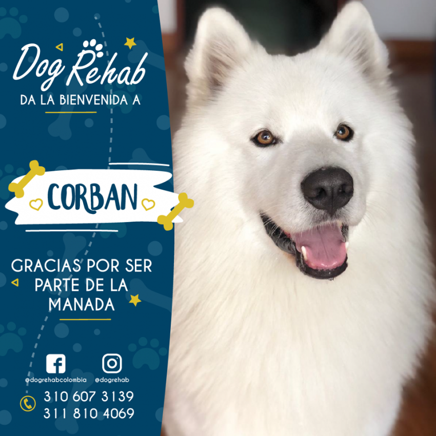 Bienvenido Corban