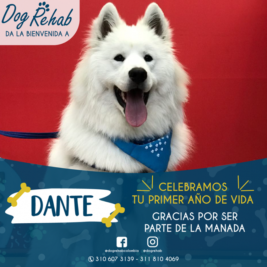 Bienvenido Dante