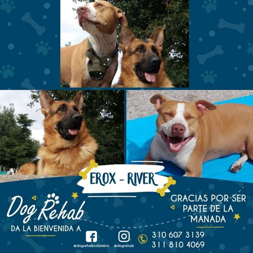 Bienvenidos Erox y River