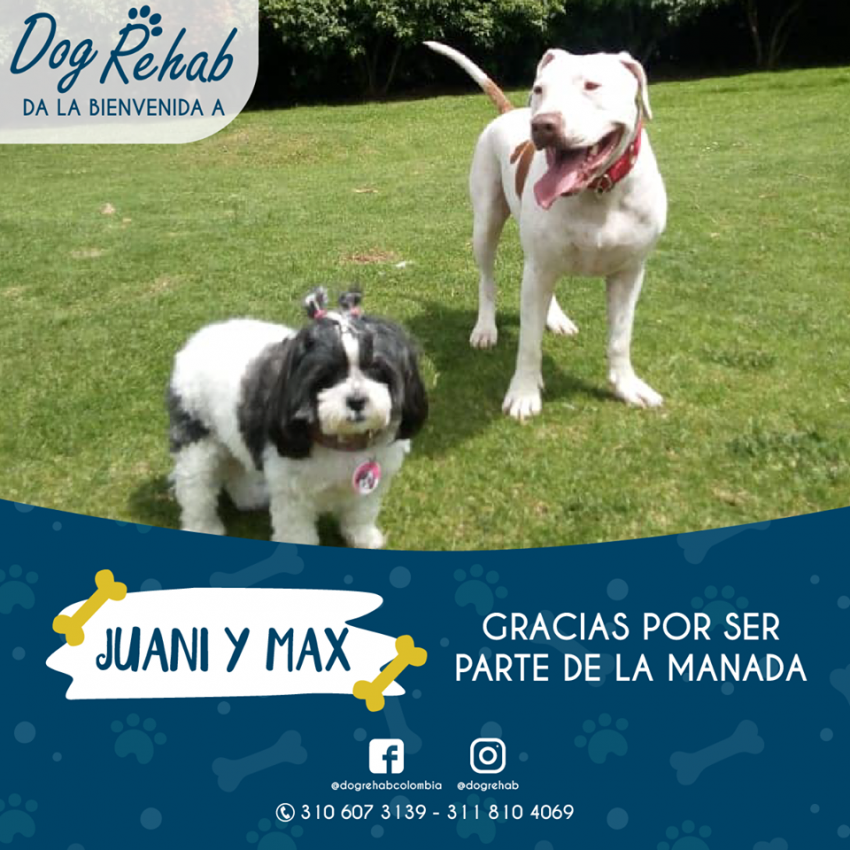 Bienvenidos Juanita y Max