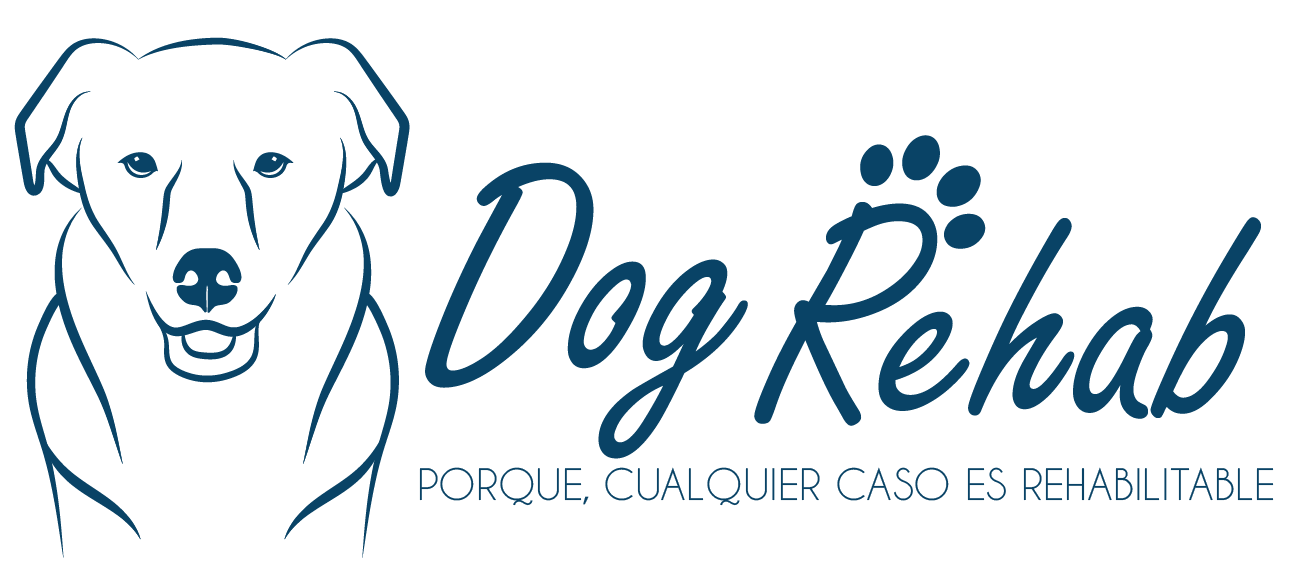 logo final final dog handler_Mesa de trabajo 1 copia 7