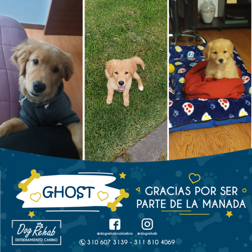 Bienvenido Ghost
