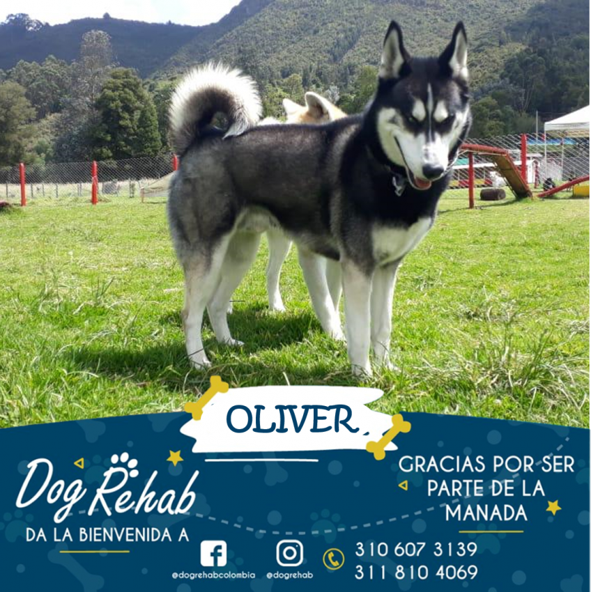 Bienvenido Oliver