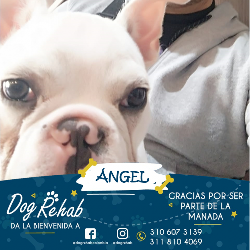 Bienvenido Ángel
