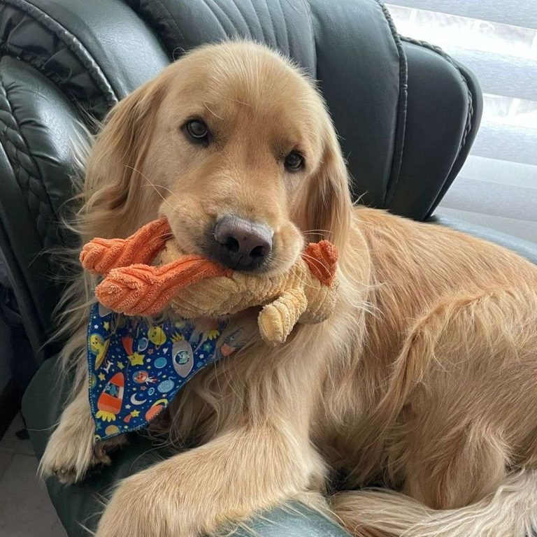 Bienvenidos a Nuestro Blog de Actualidad!